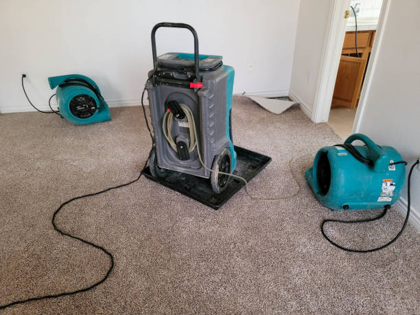 Best Carpet water damage restoration  in Murrieta, CA