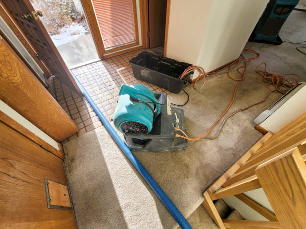 Best Basement water damage restoration  in Murrieta, CA