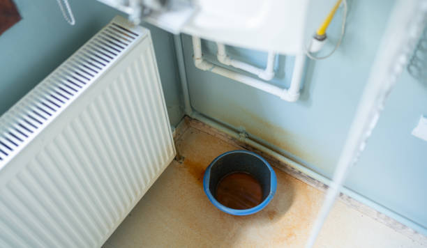 Best Ceiling water damage repair  in Murrieta, CA