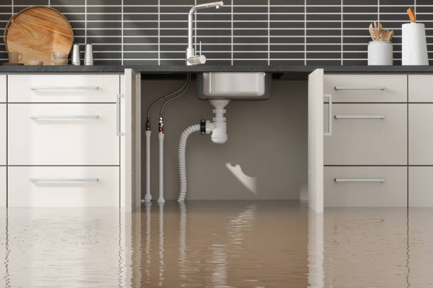 Best Flooded house restoration  in Murrieta, CA
