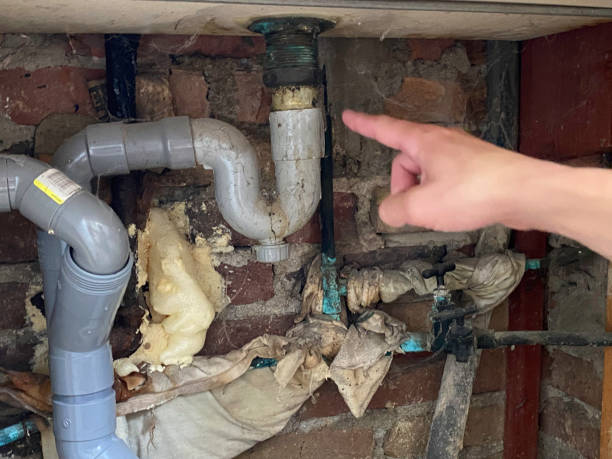 Best Sewage cleanup and water damage restoration  in Murrieta, CA