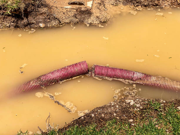 Best 24/7 water damage repair  in Murrieta, CA