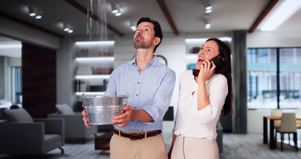 Best 24-hour water damage restoration  in Murrieta, CA